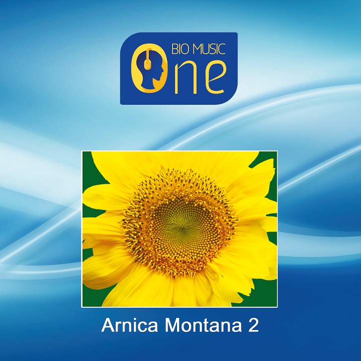 Arnica Montana 2