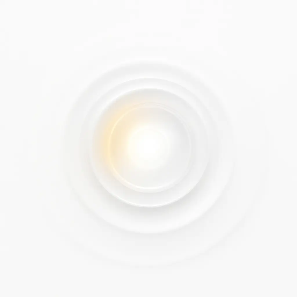 Illustration of the Bio Music One process