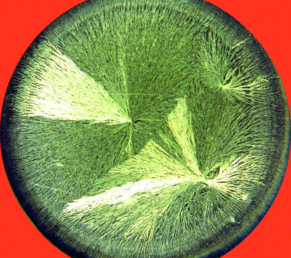 Sensitive crystallization without Bio Music One