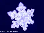 Frozen water crystals with Bio Music One
