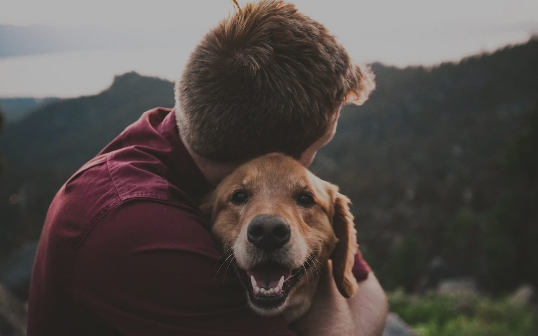 Aux petits soins de nos animaux de compagnie